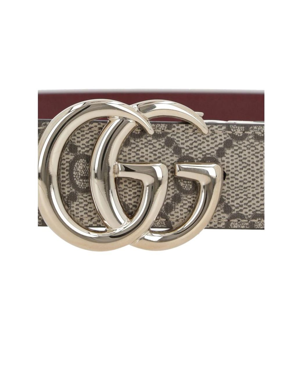 Gucci Brown Neutrals Belts