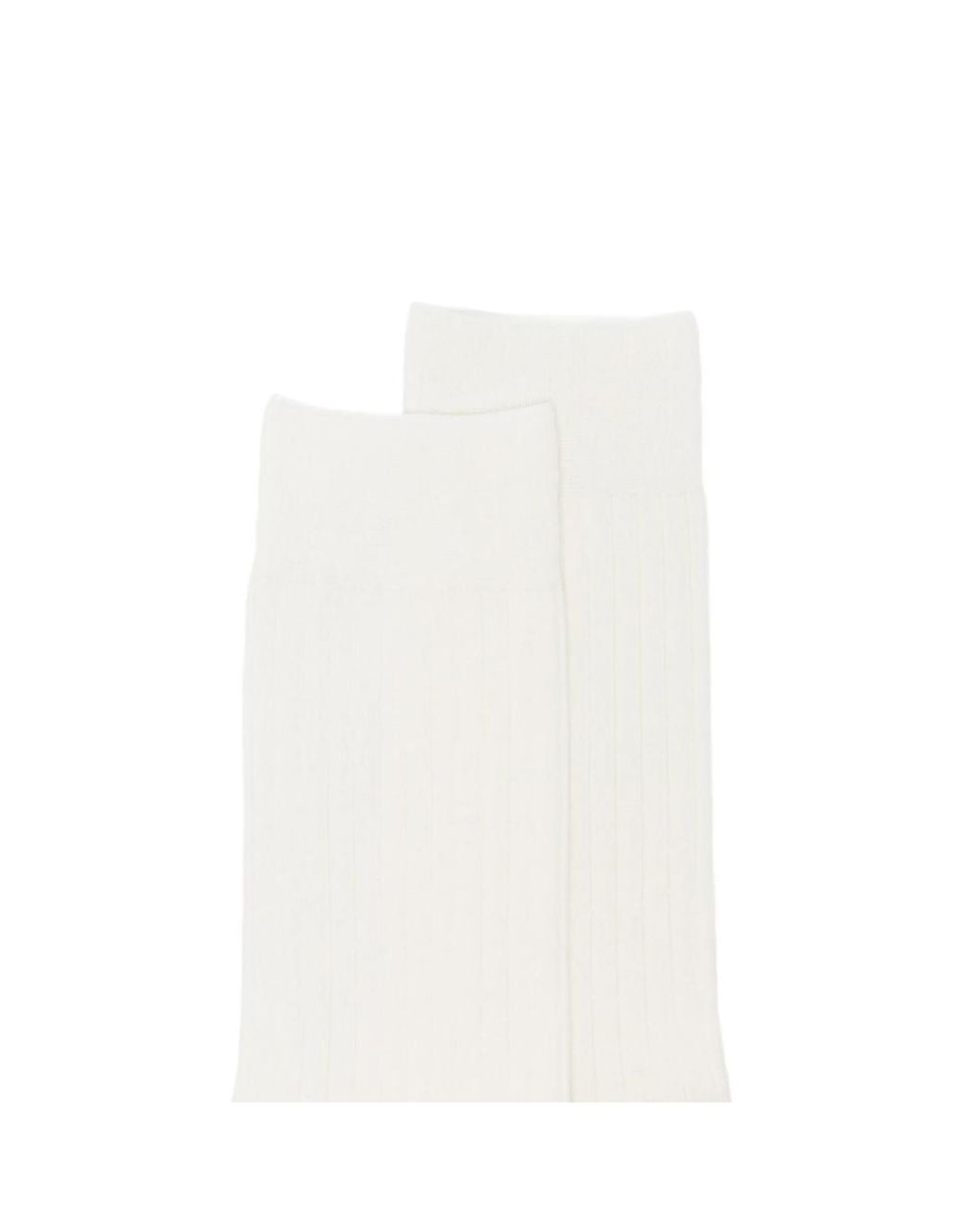ANT45 White Urbana Long Ribbed Socks