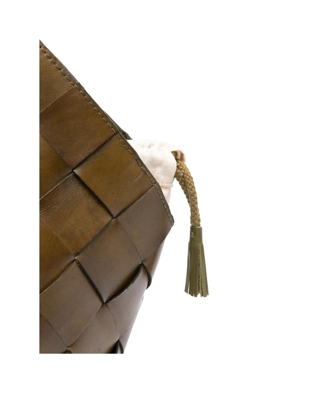 Dragon Diffusion Brown Botteghe Woven Tote Bag