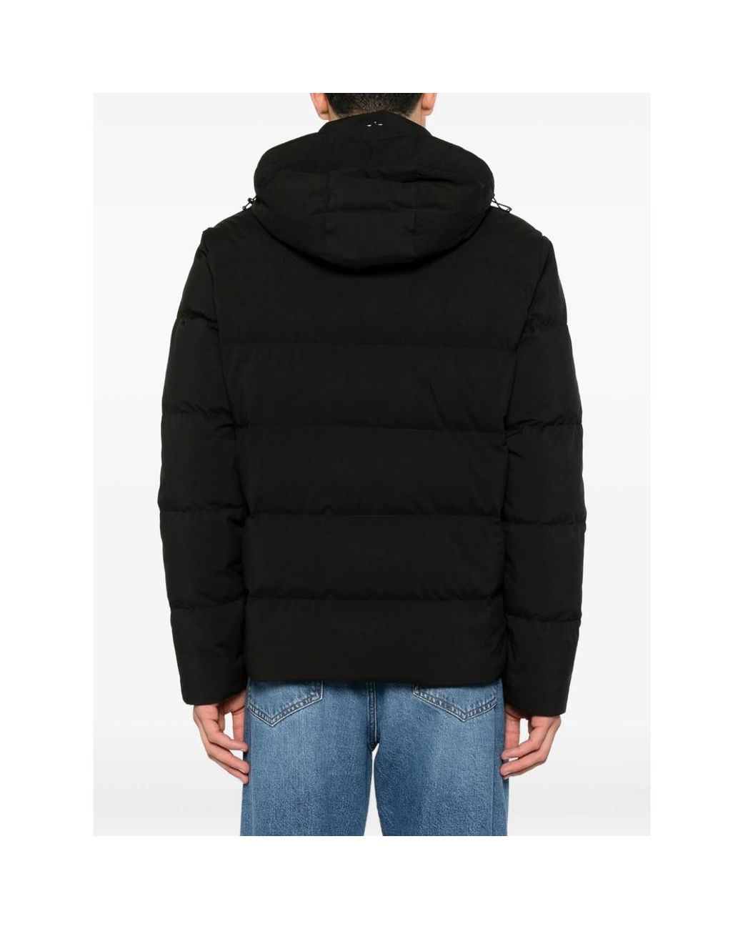 Paul & Shark Black Hooded Padded Jacket for men