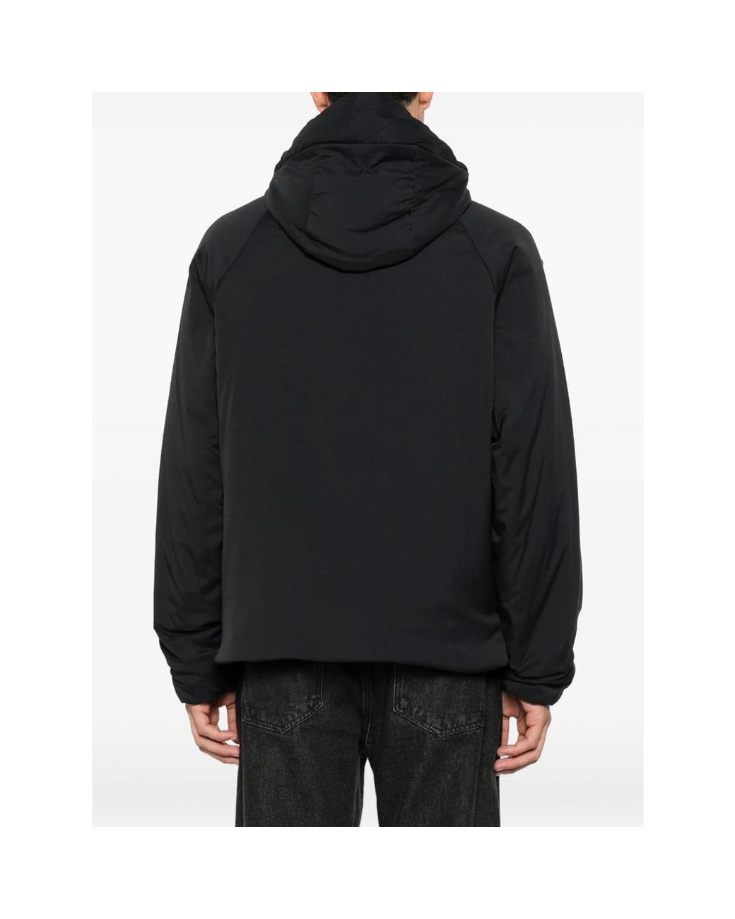 Laminar Black Hooded Padded Jacket for men