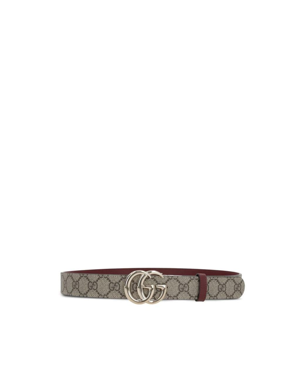 Gucci Brown Neutrals Belts