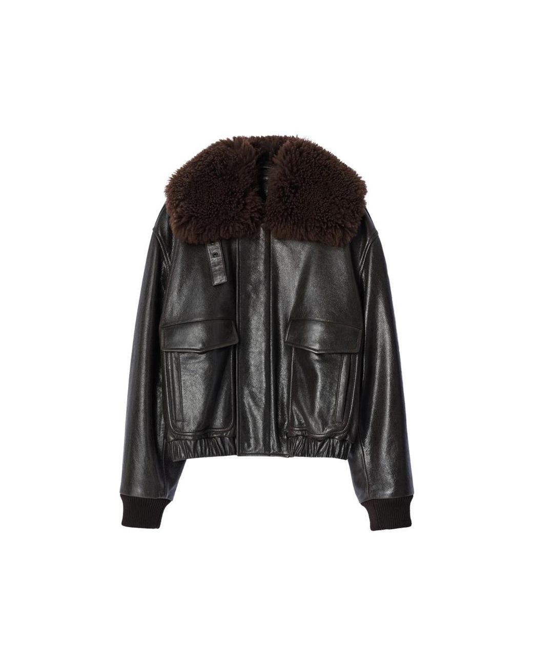 Lemaire Black Blouson