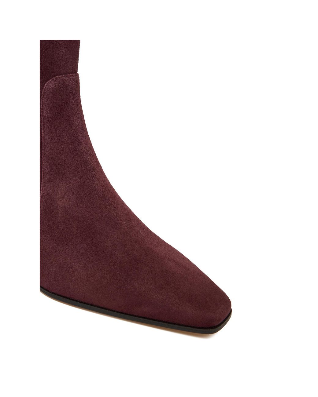 Stuart Weitzman Purple Stiefeletten Stassi Sm498