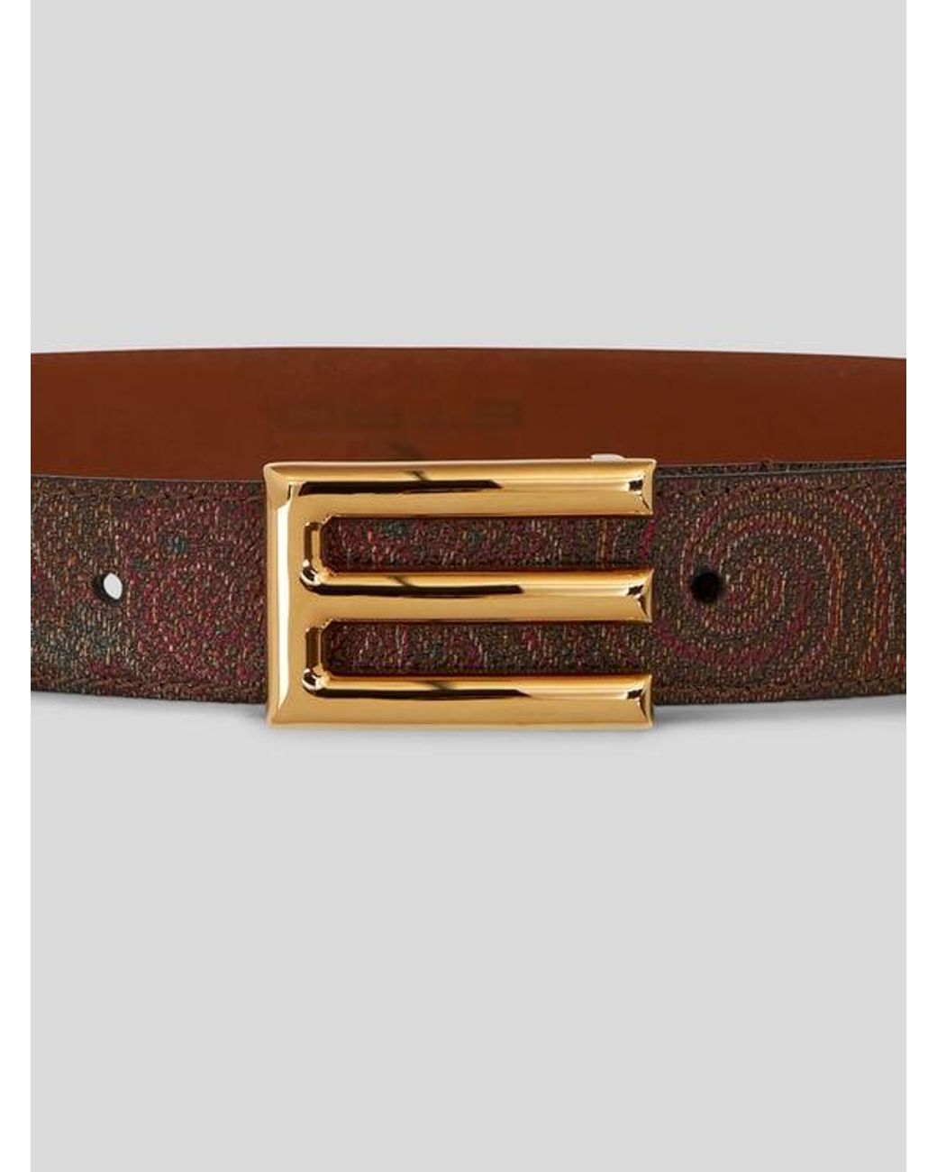 Etro Brown Logo-Buckle Paisley Leather Belt