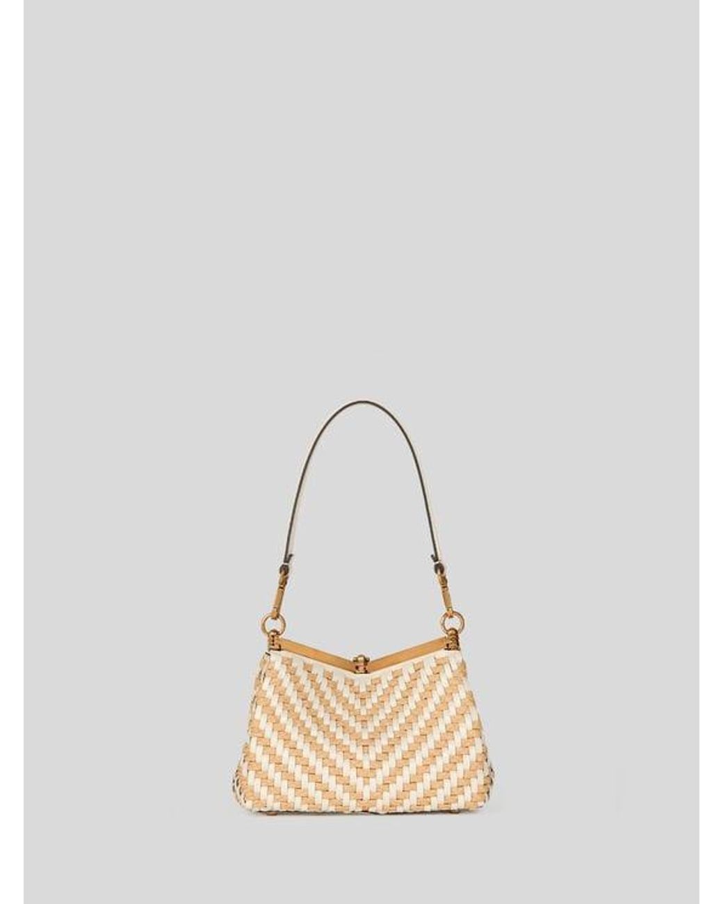 Etro Natural Small Woven Leather And Raffia Vela Bag