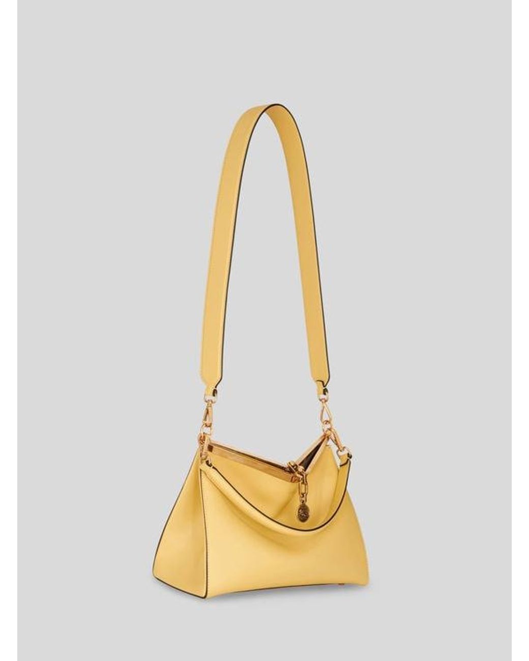 Etro Metallic Medium Vela Bag