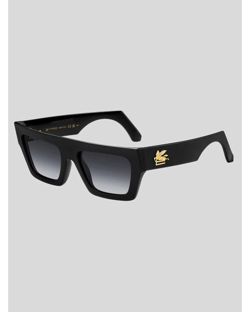 Etro Black Screen Sunglasses