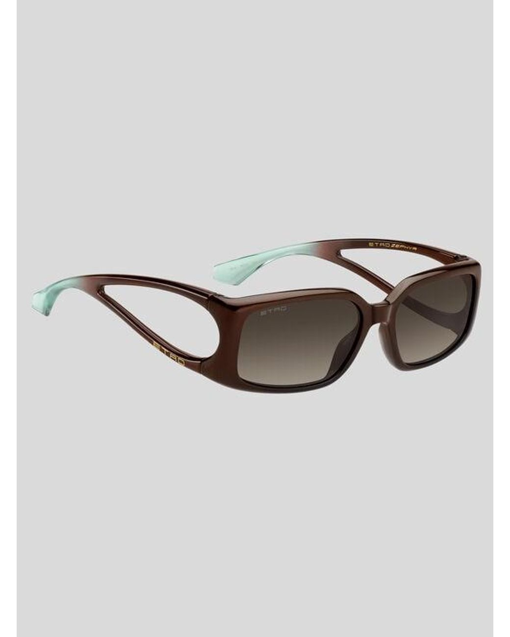 Etro Brown Zephyr Sunglasses