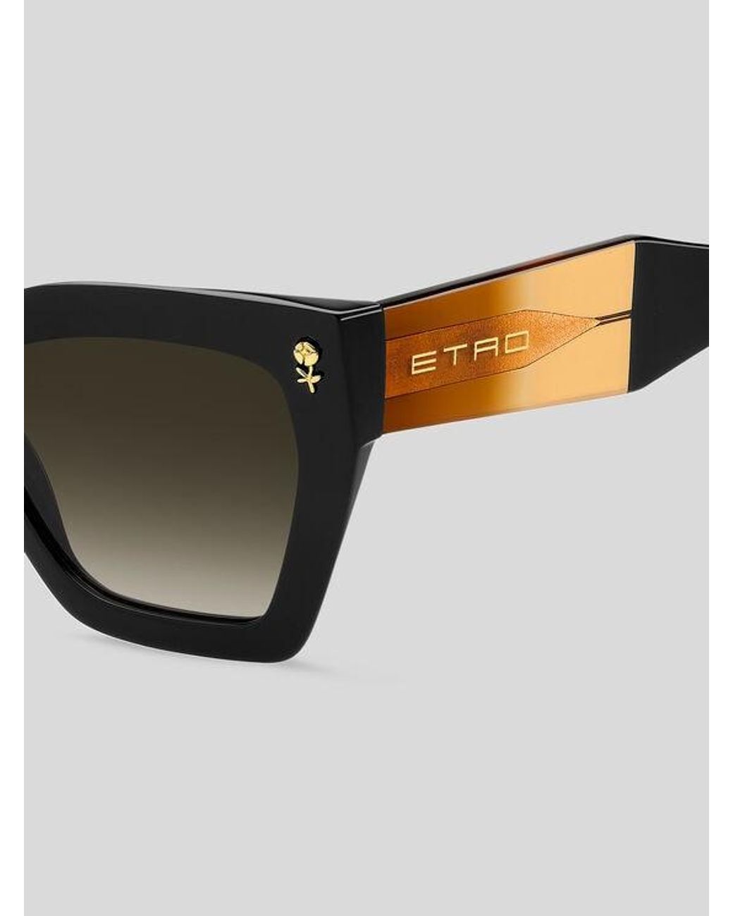 Etro Brown Colour Stripes Sunglasses