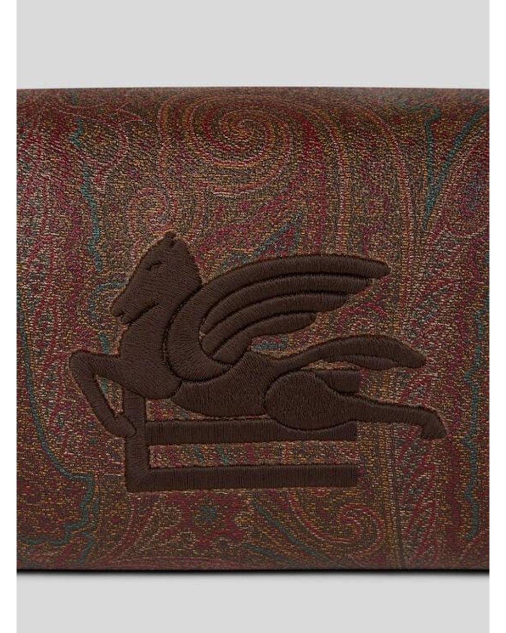 Etro Brown Medium Arnica Pouch With Pegaso Embroidery for men