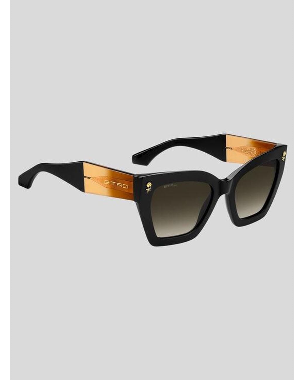 Etro Brown Colour Stripes Sunglasses