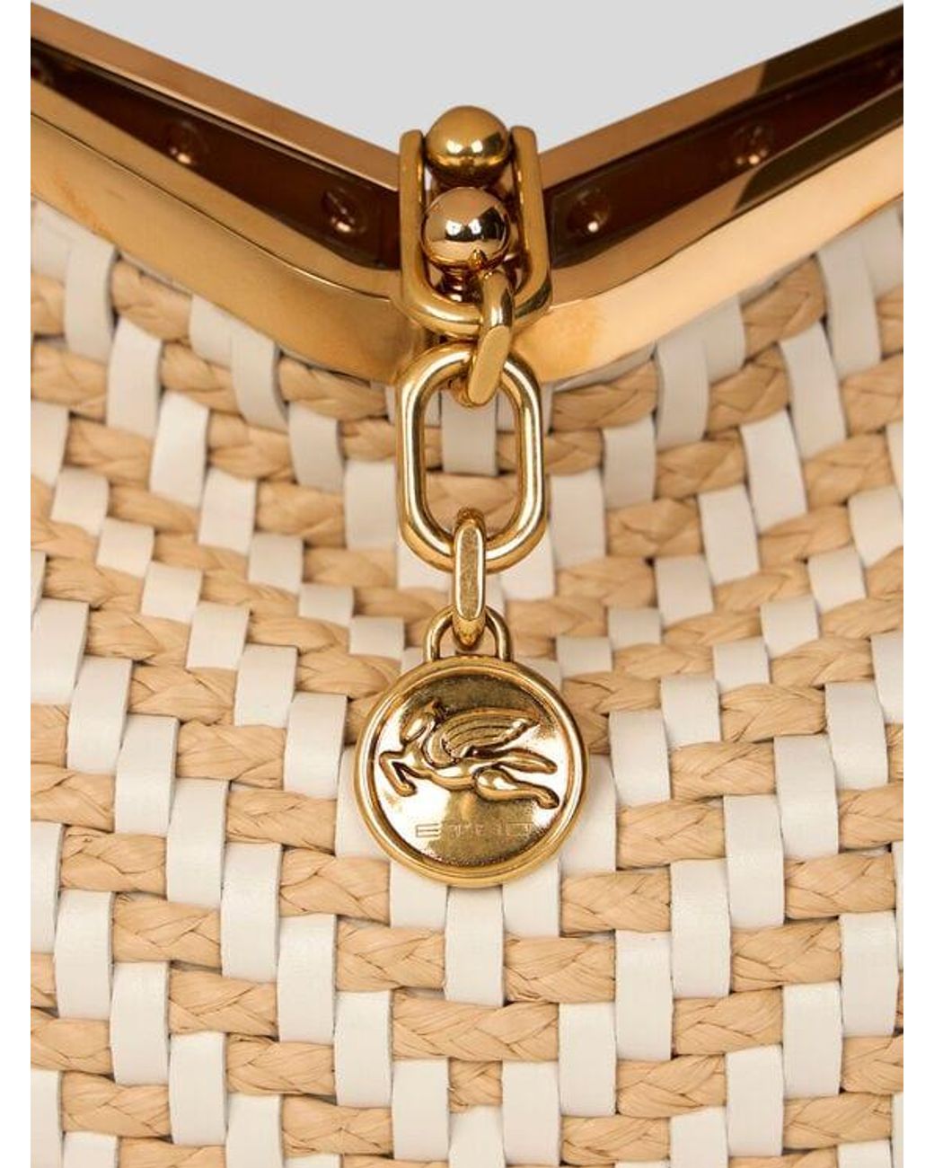 Etro Natural Small Woven Leather And Raffia Vela Bag