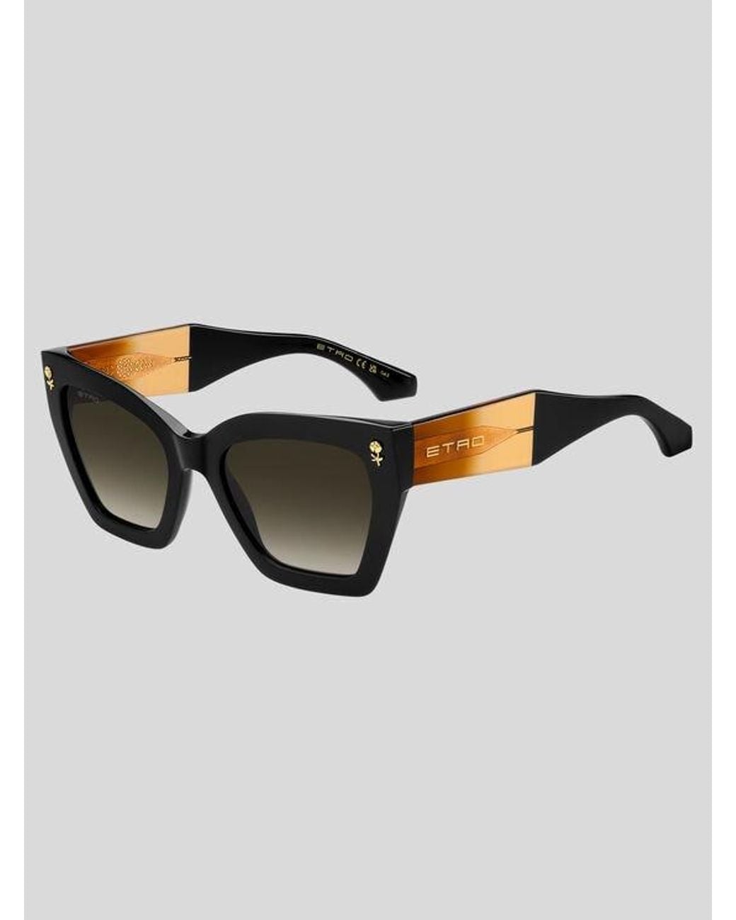 Etro Brown Colour Stripes Sunglasses
