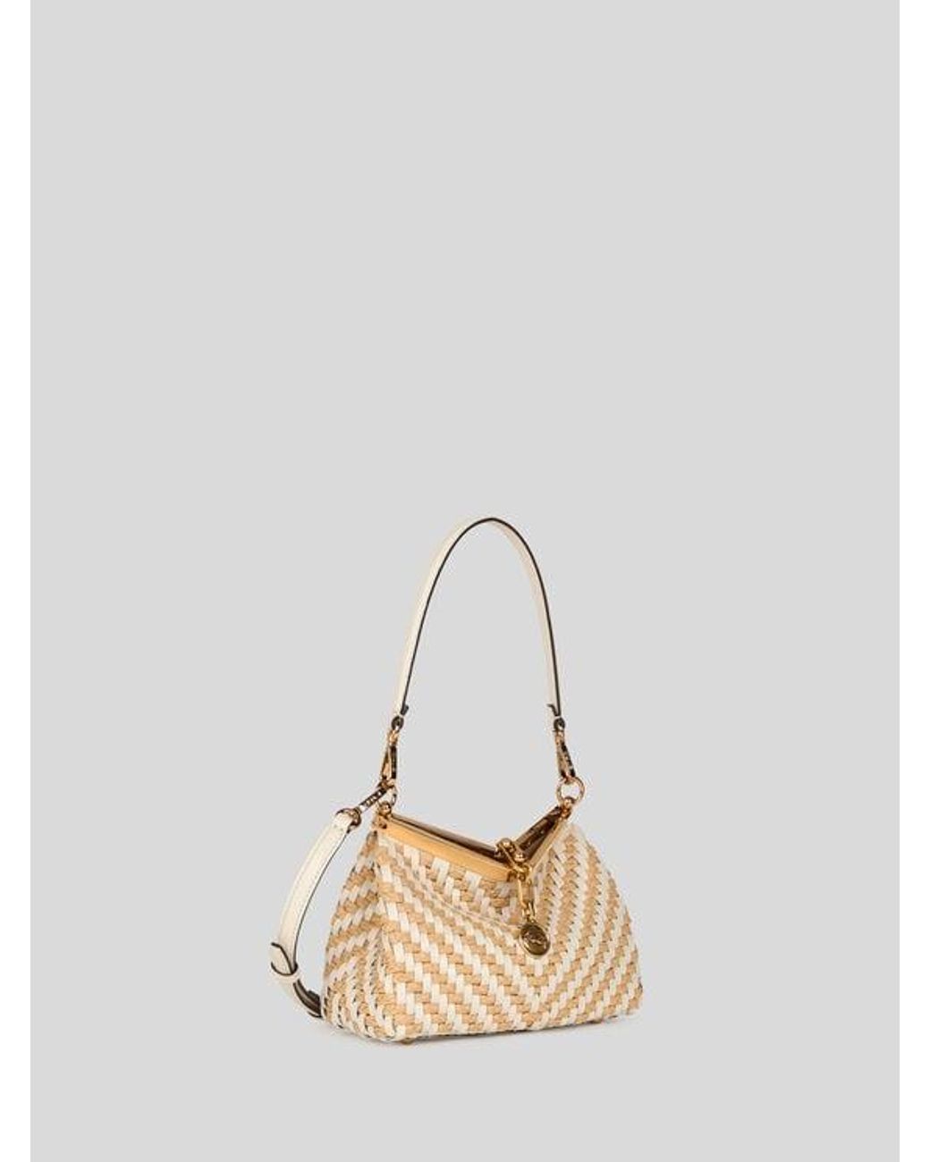 Etro Natural Small Woven Leather And Raffia Vela Bag
