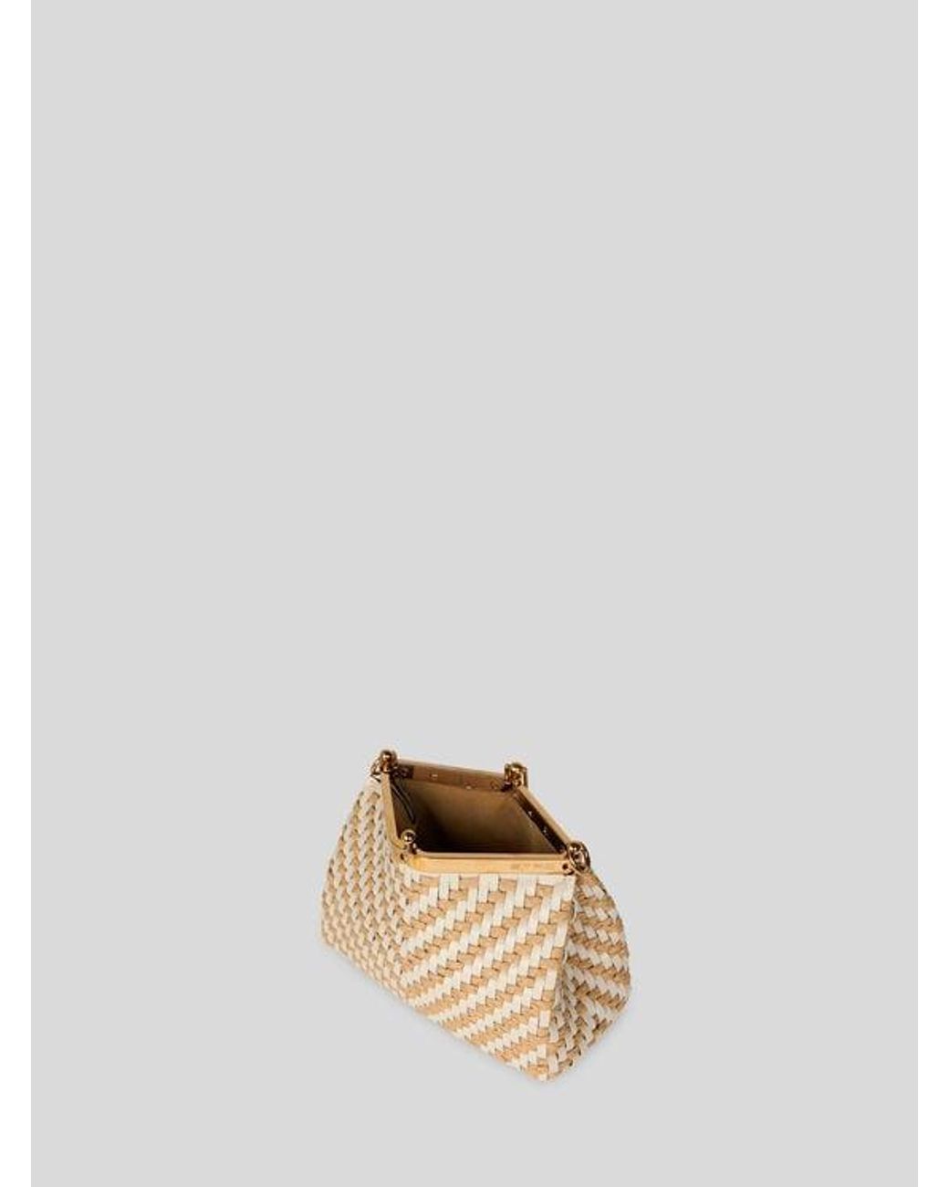 Etro Natural Small Woven Leather And Raffia Vela Bag