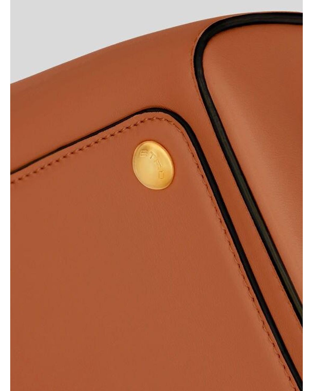 Etro Brown Large Vela Bag