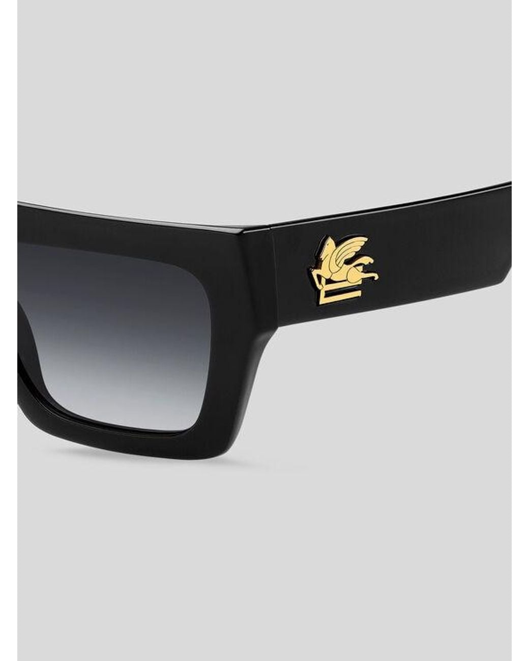 Etro Black Screen Sunglasses