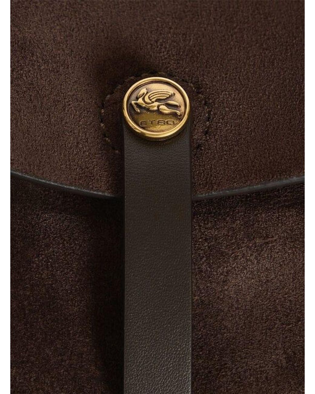 Etro Brown Medium Suede Pony Bag