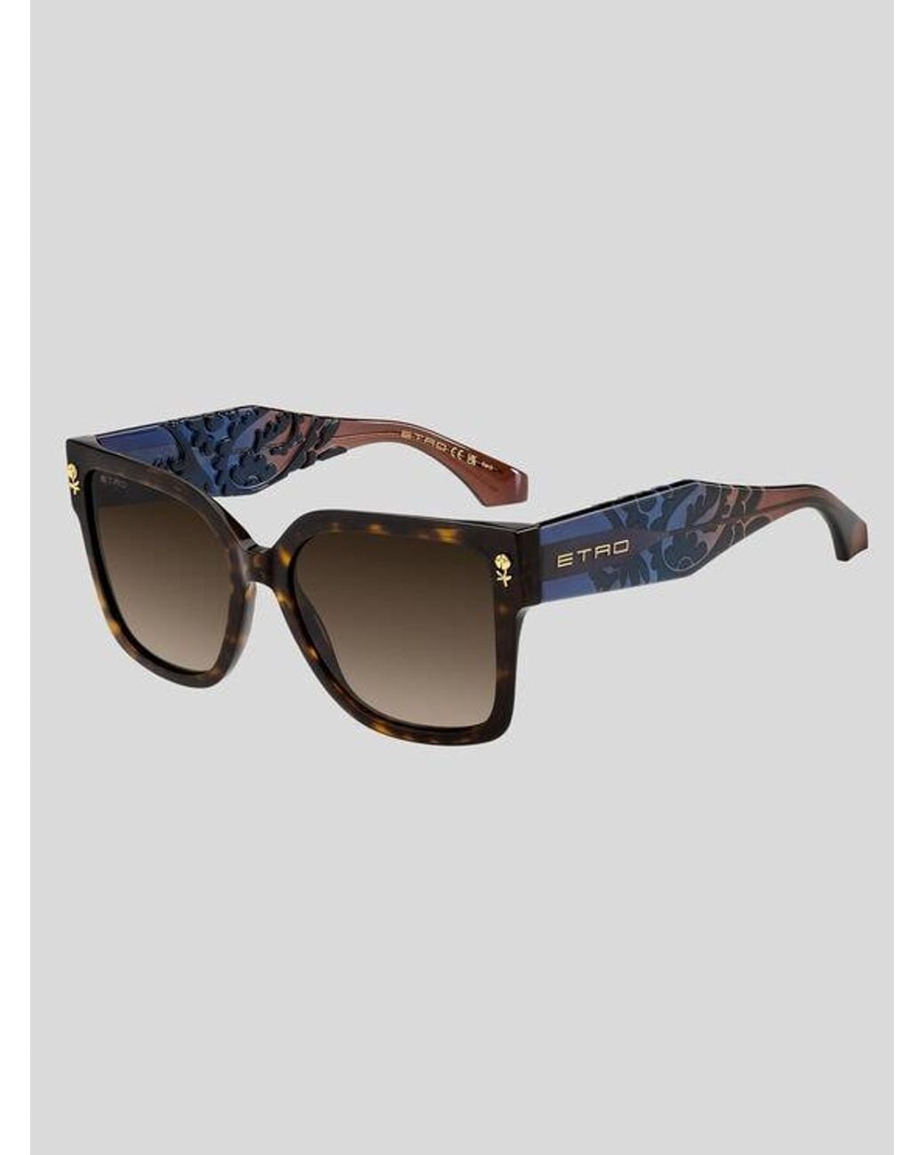 Etro Brown Colour Stripes Sunglasses