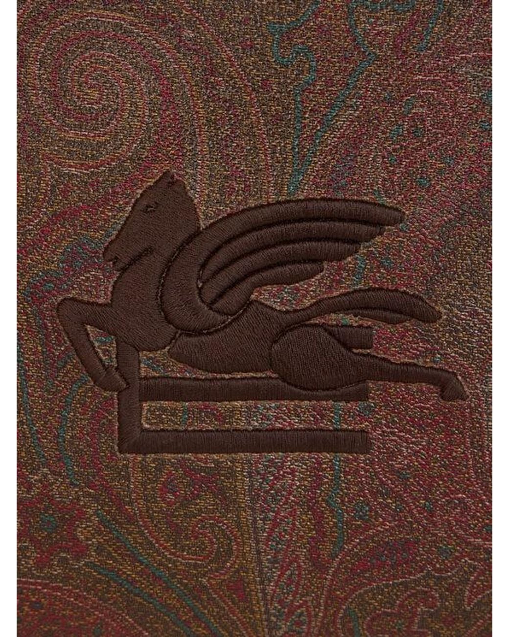 Etro Brown Large Arnica Pouch With Pegaso for men