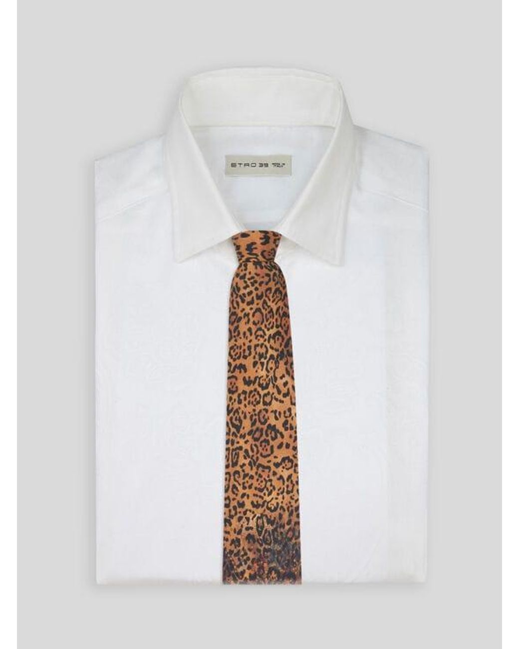 Etro Brown Silk Tie With Paisley And Animal Motif for men