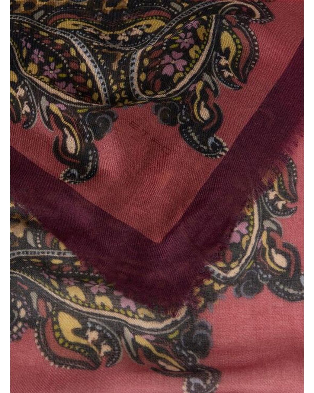 Scialle di Etro in Brown
