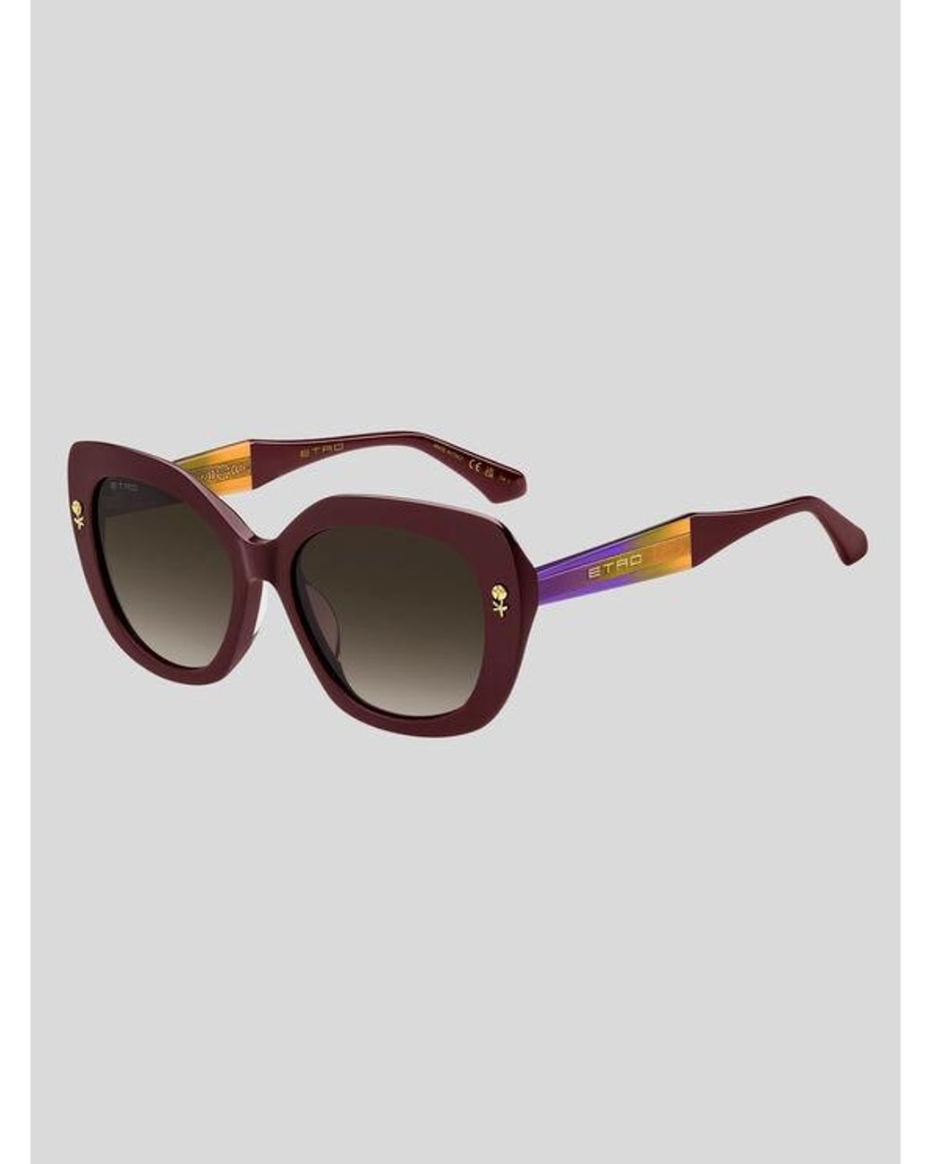 Etro Brown Colour Stripes Sunglasses