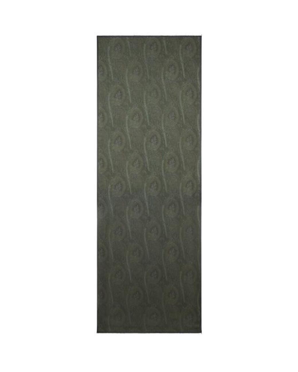 Etro Green Paisley Scarf for men