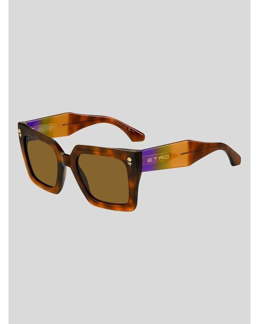 Etro Brown Colour Stripes Sunglasses