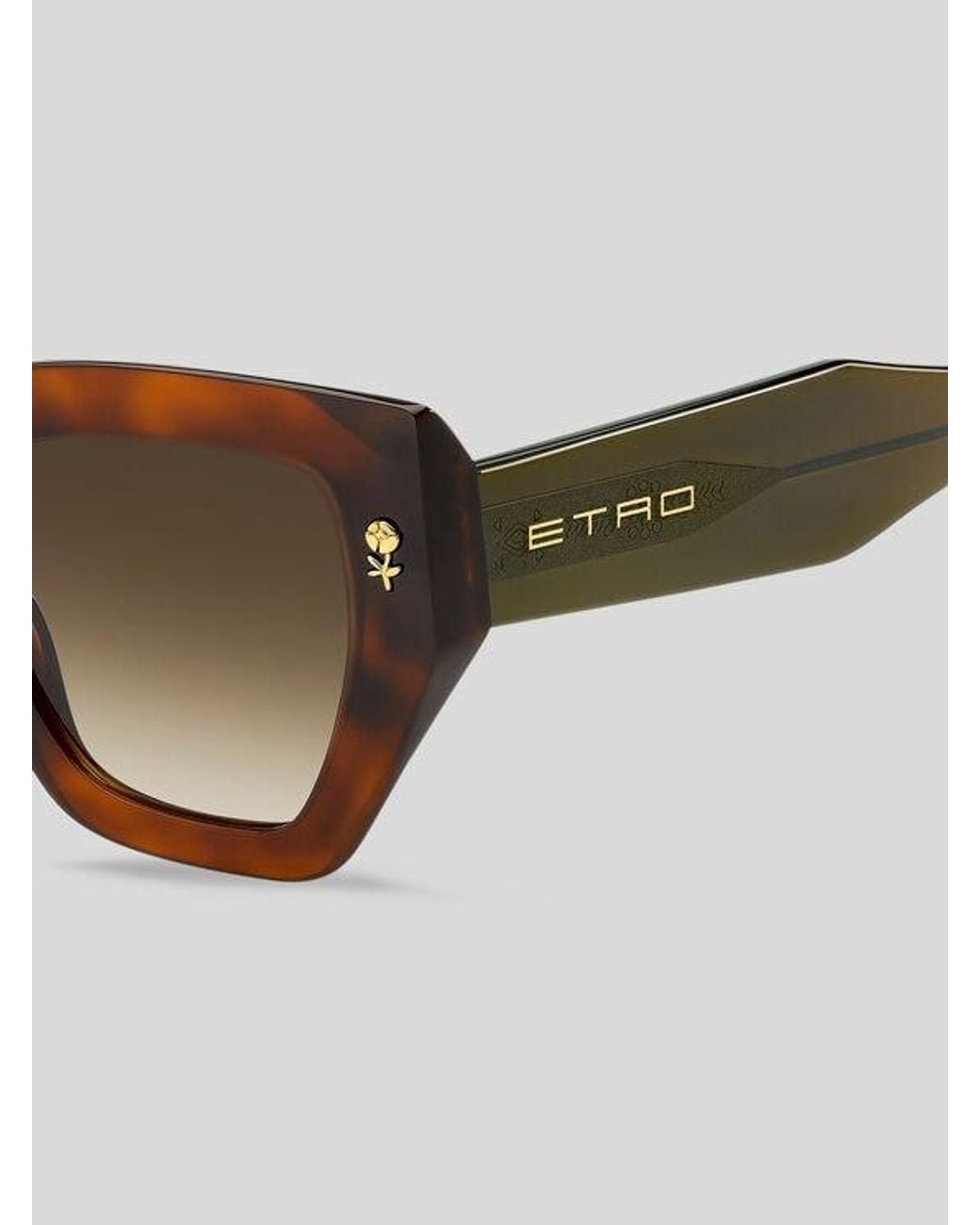 Etro Brown Colour Stripes Sunglasses
