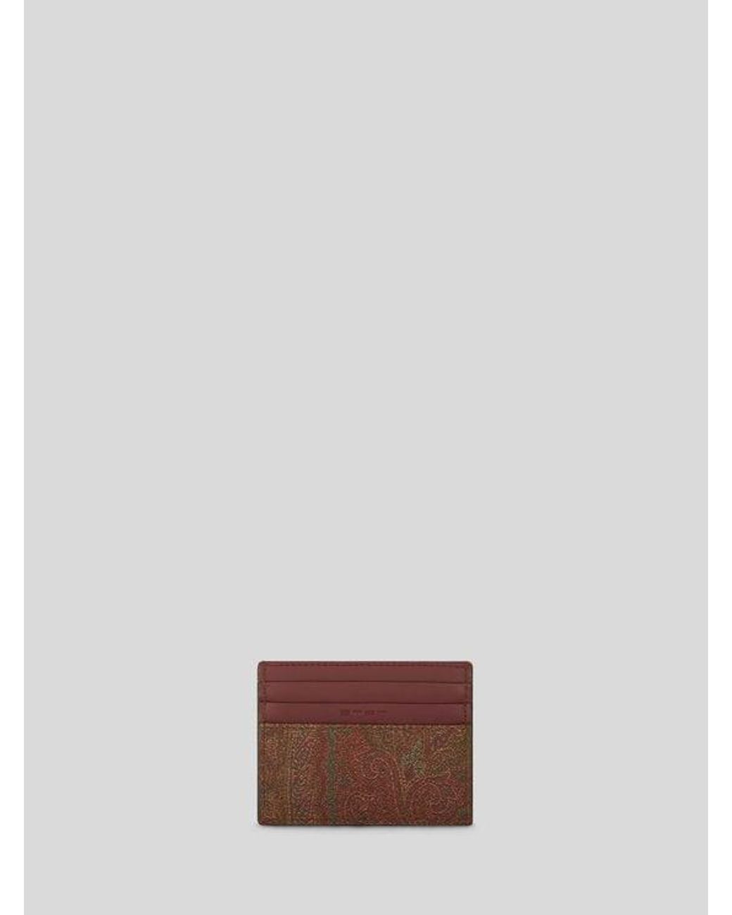 Etro Brown Arnica Card Holder for men