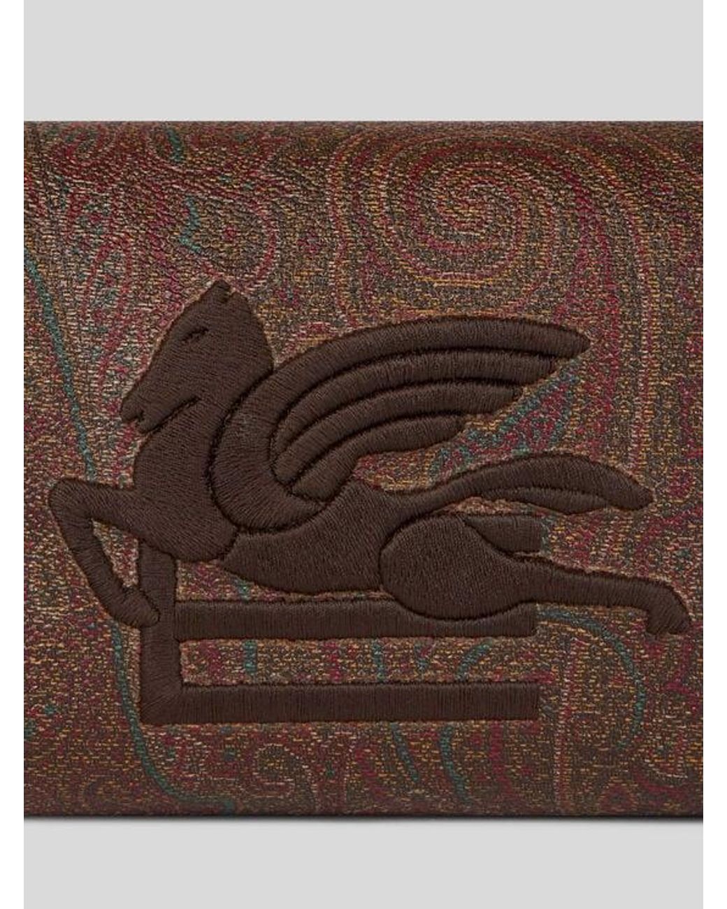 Etro Brown Small Arnica Pouch With Pegaso Embroidery for men