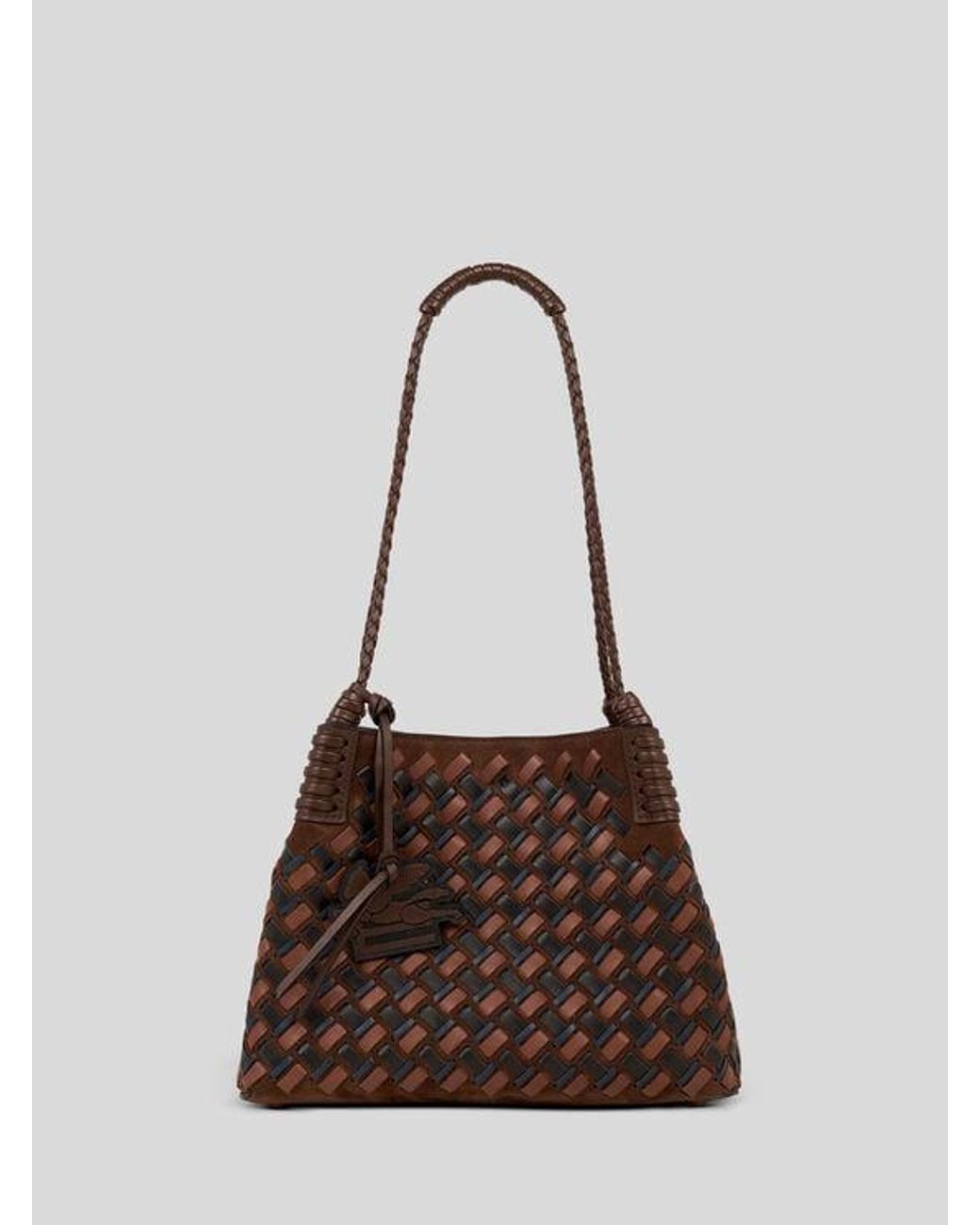 Etro Brown Small Libra Tote Bag