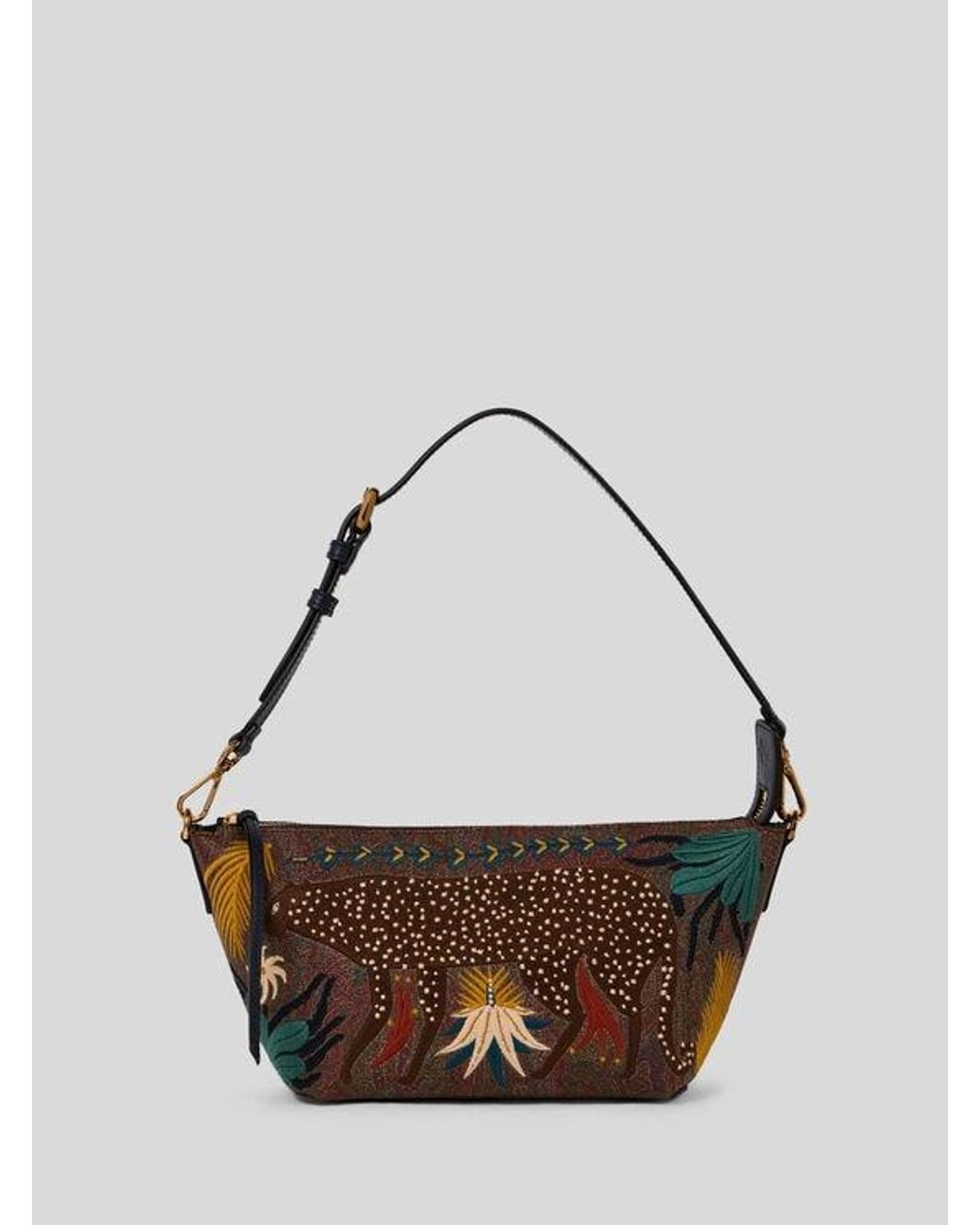 Etro Brown X Tabby Booth Arnica Crossbody Bag With Embroidery