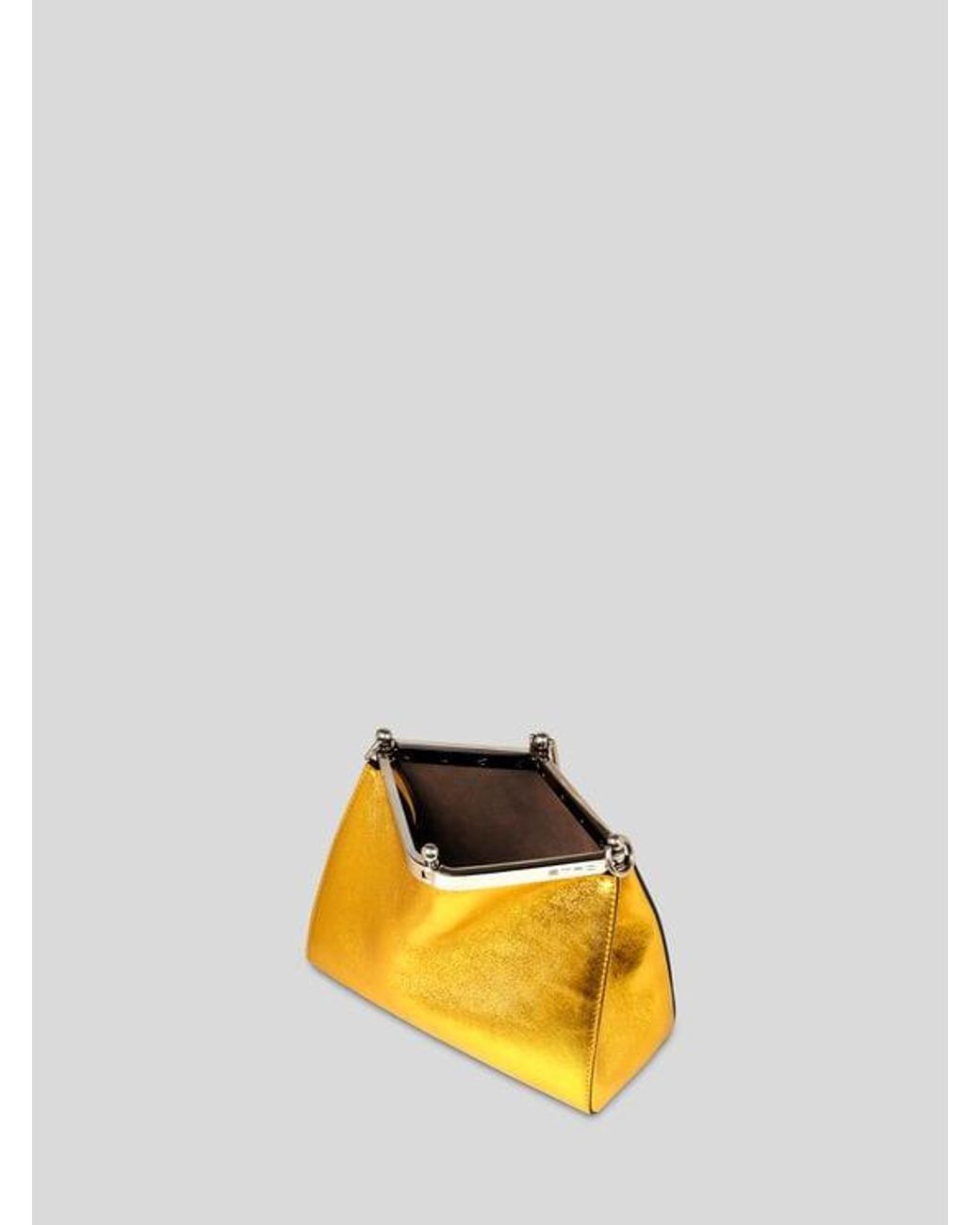 Etro Metallic Small Laminated Vela Bag