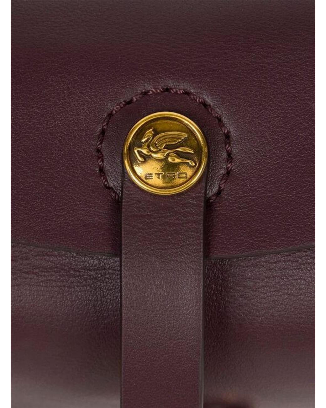 Borsa Pony Piccola di Etro in Purple