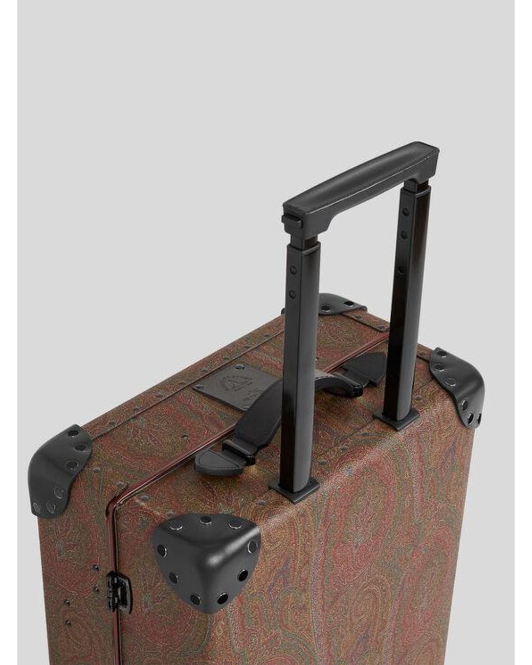 Etro Brown X Globe-Trotter Arnica And Leather Carry-On Case for men
