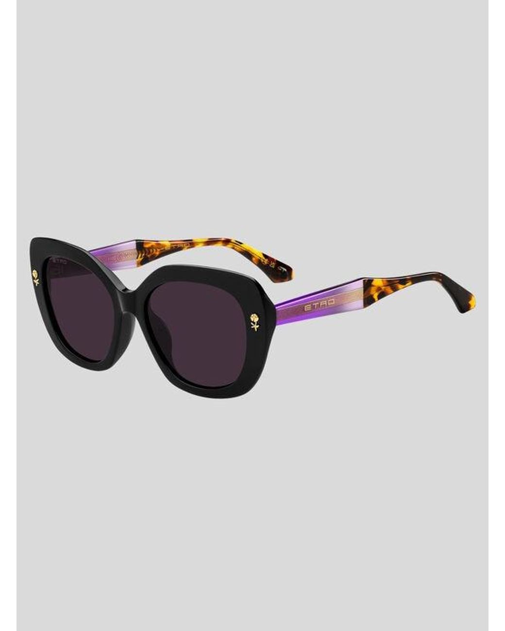 Etro Brown Colour Stripes Sunglasses