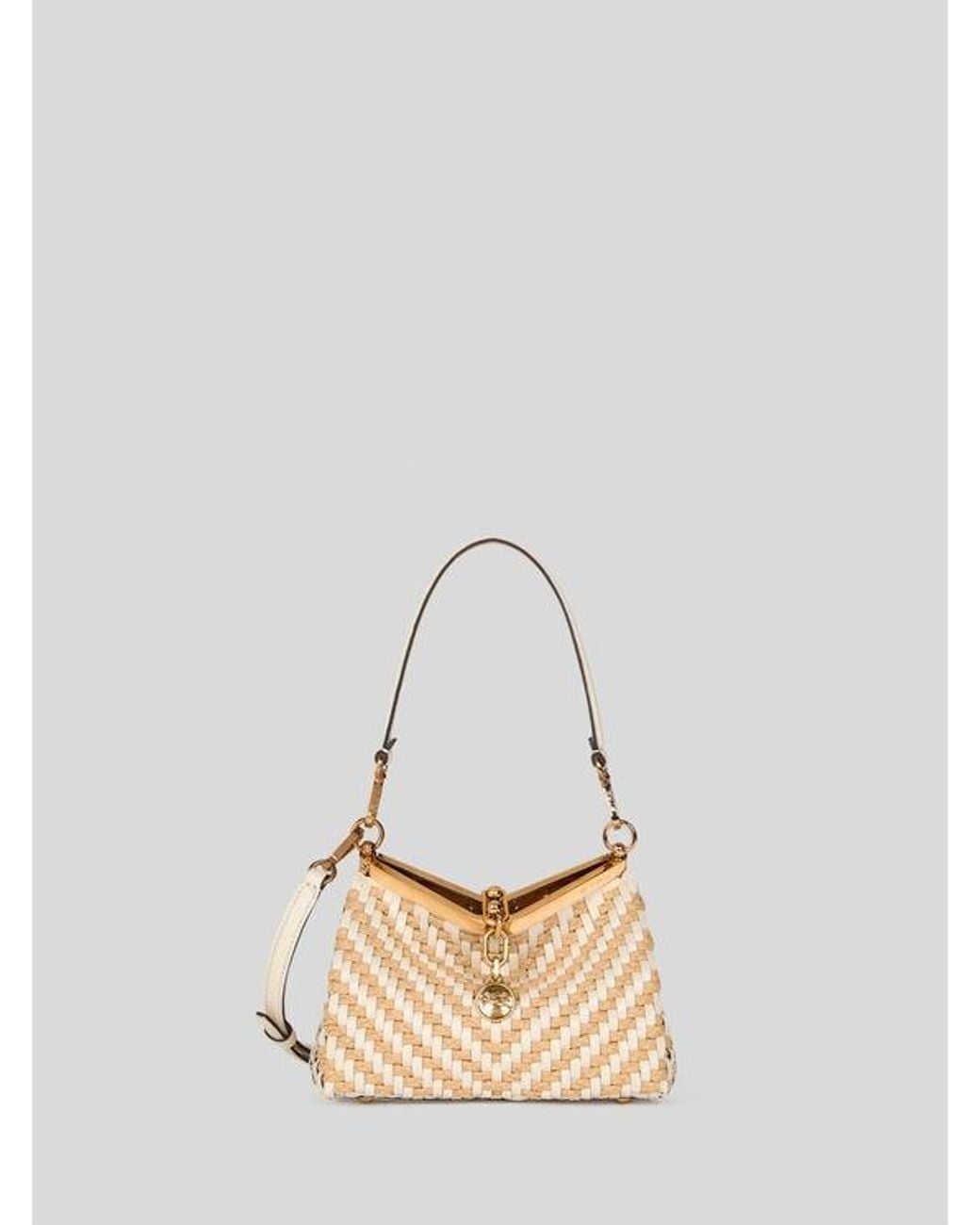Etro Natural Small Woven Leather And Raffia Vela Bag