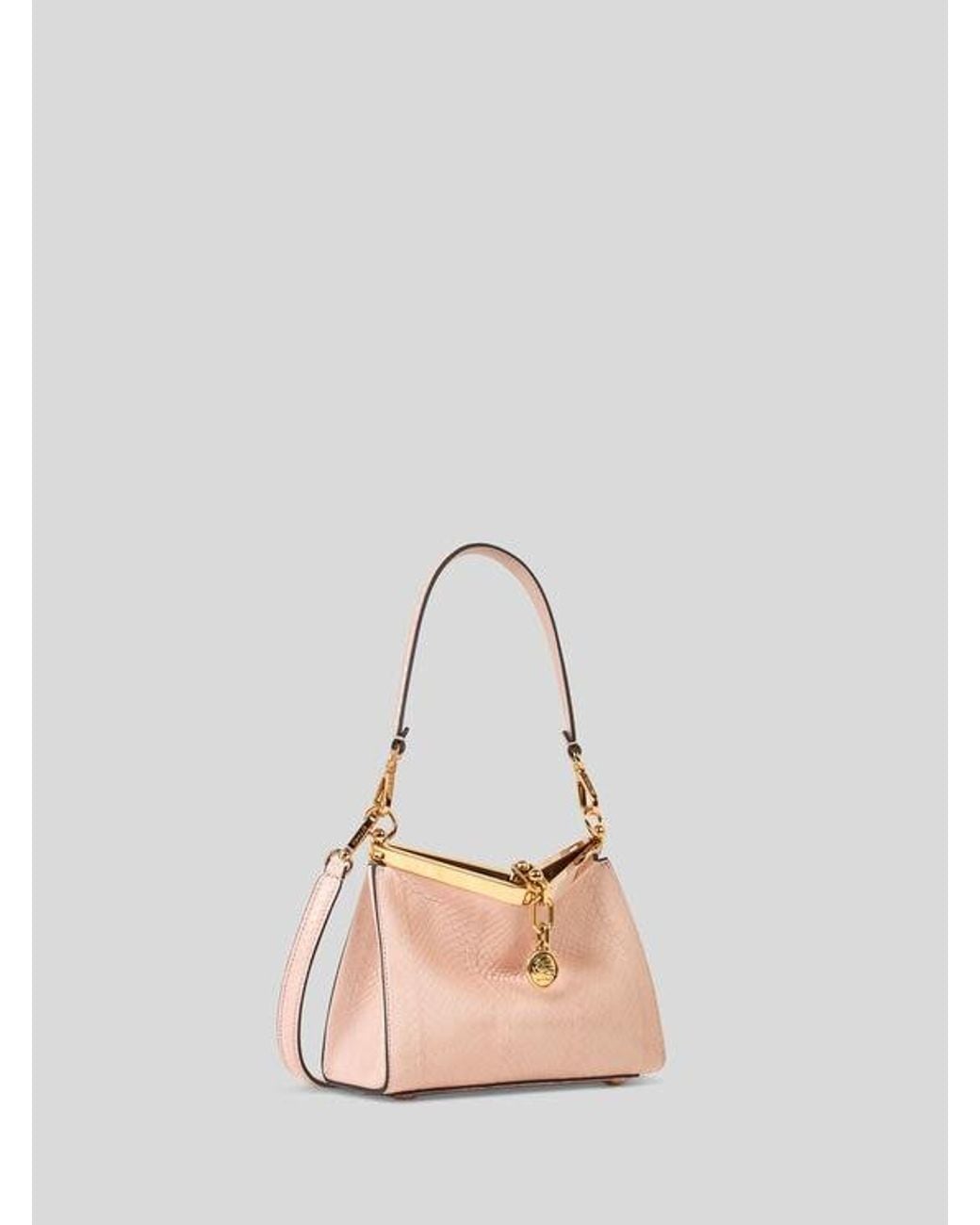 Etro Pink Small Vela Bag