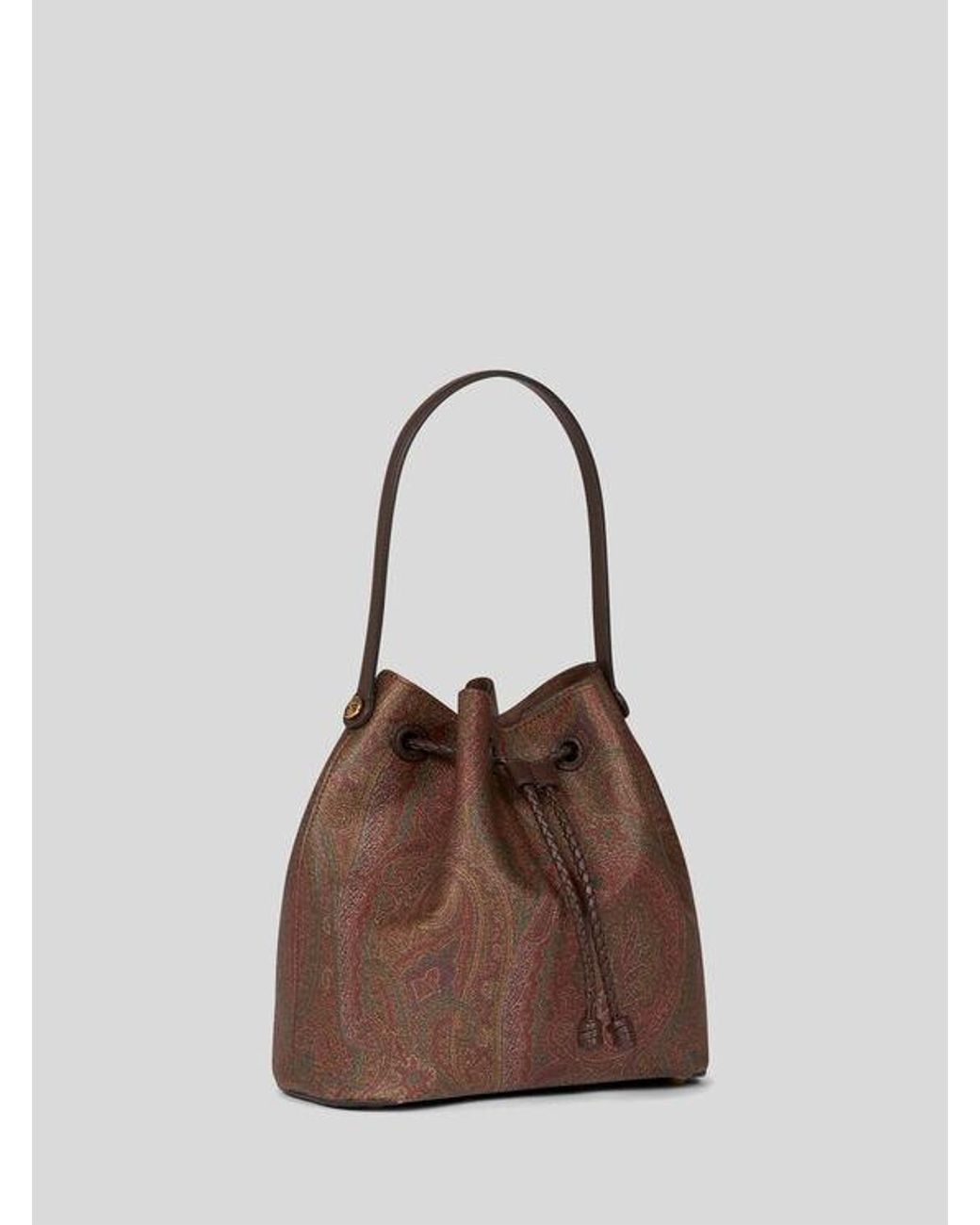 Etro Brown Small Arnica Bucket Bag