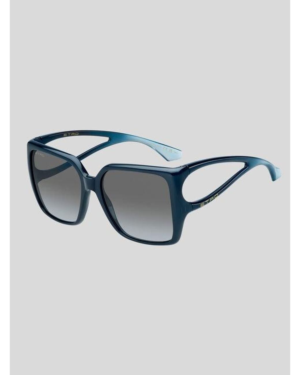 Etro Gray Zephyr Sunglasses