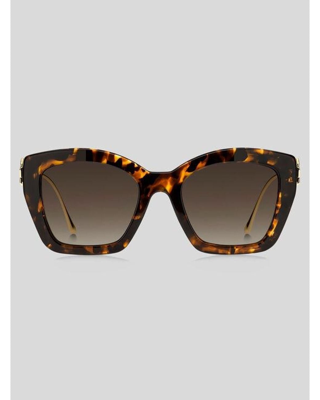 Etro Brown Bold Pegaso Sunglasses