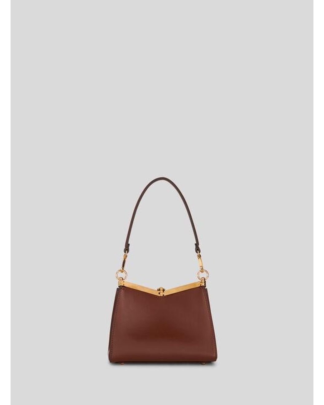 Etro Brown Small Vela Bag