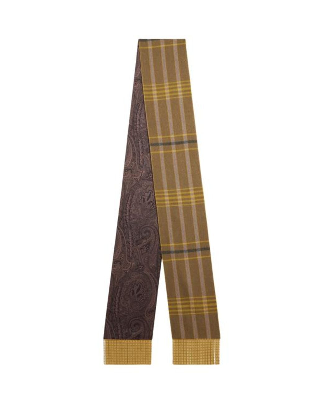 Etro Natural Wool And Silk Scarf With Metal Fringing And Two Motifs