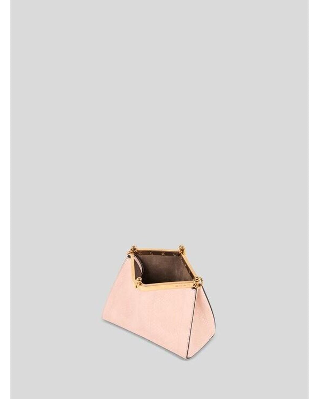 Etro Pink Small Vela Bag