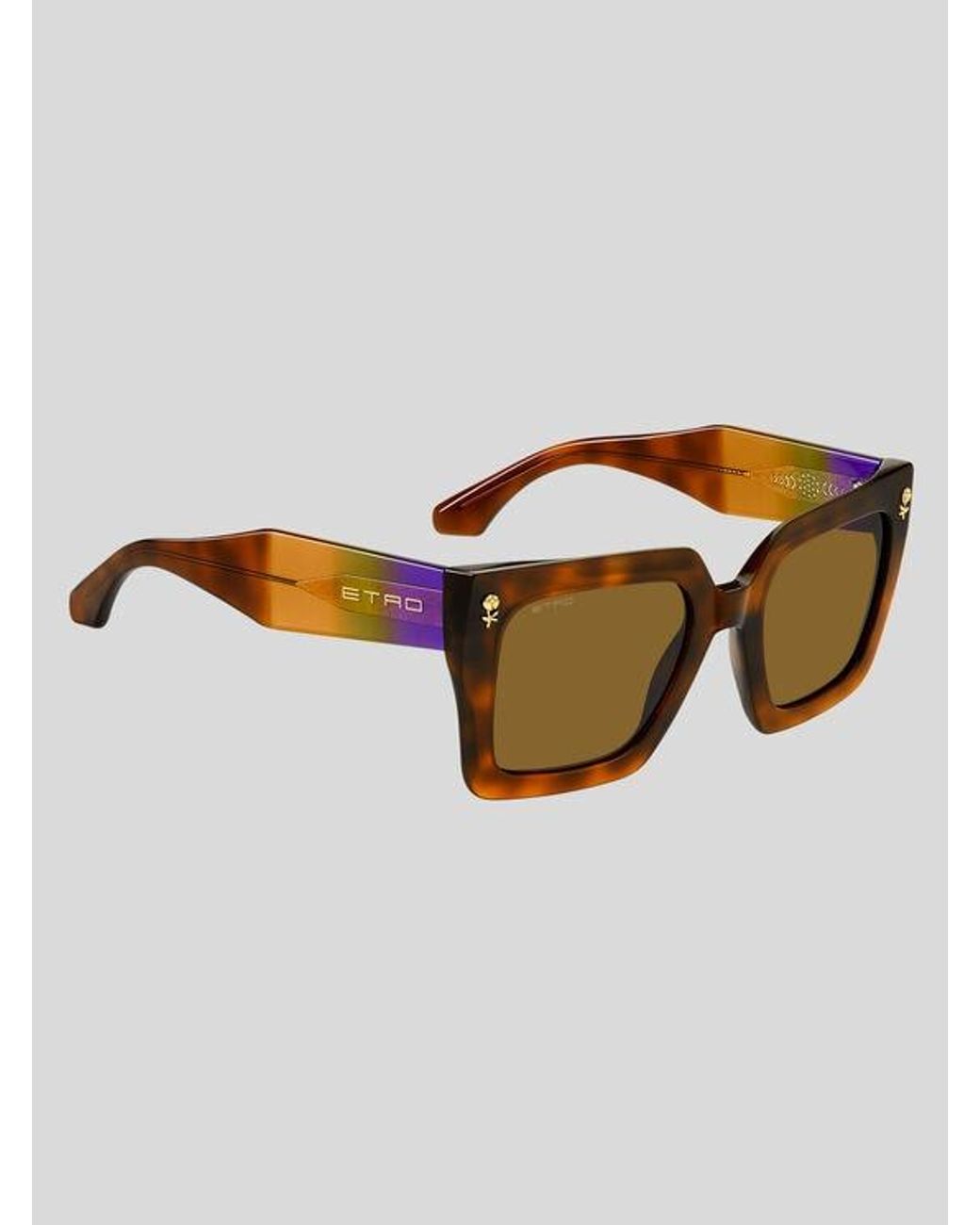 Etro Brown Colour Stripes Sunglasses