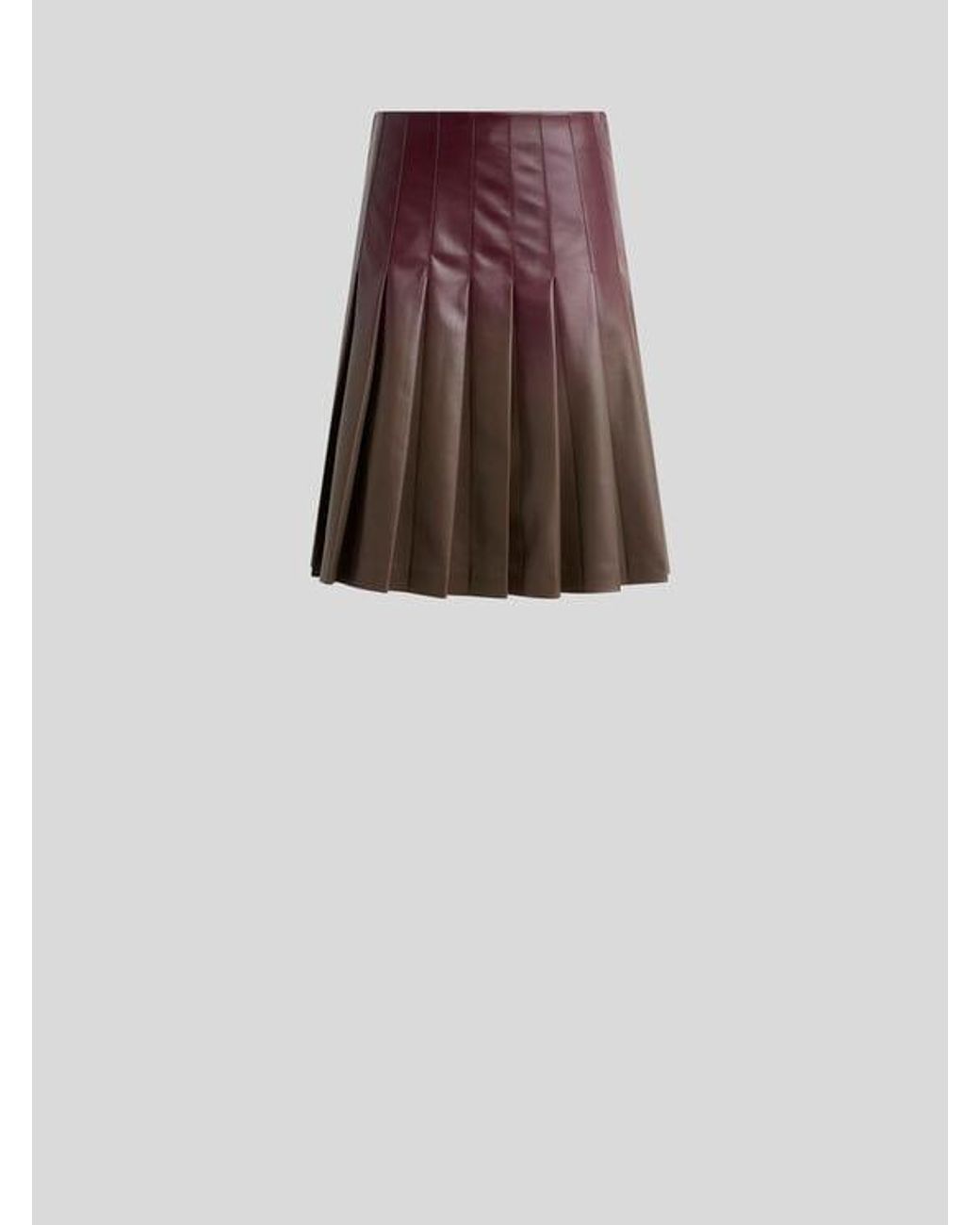 Etro Brown Short Pleated Skirt