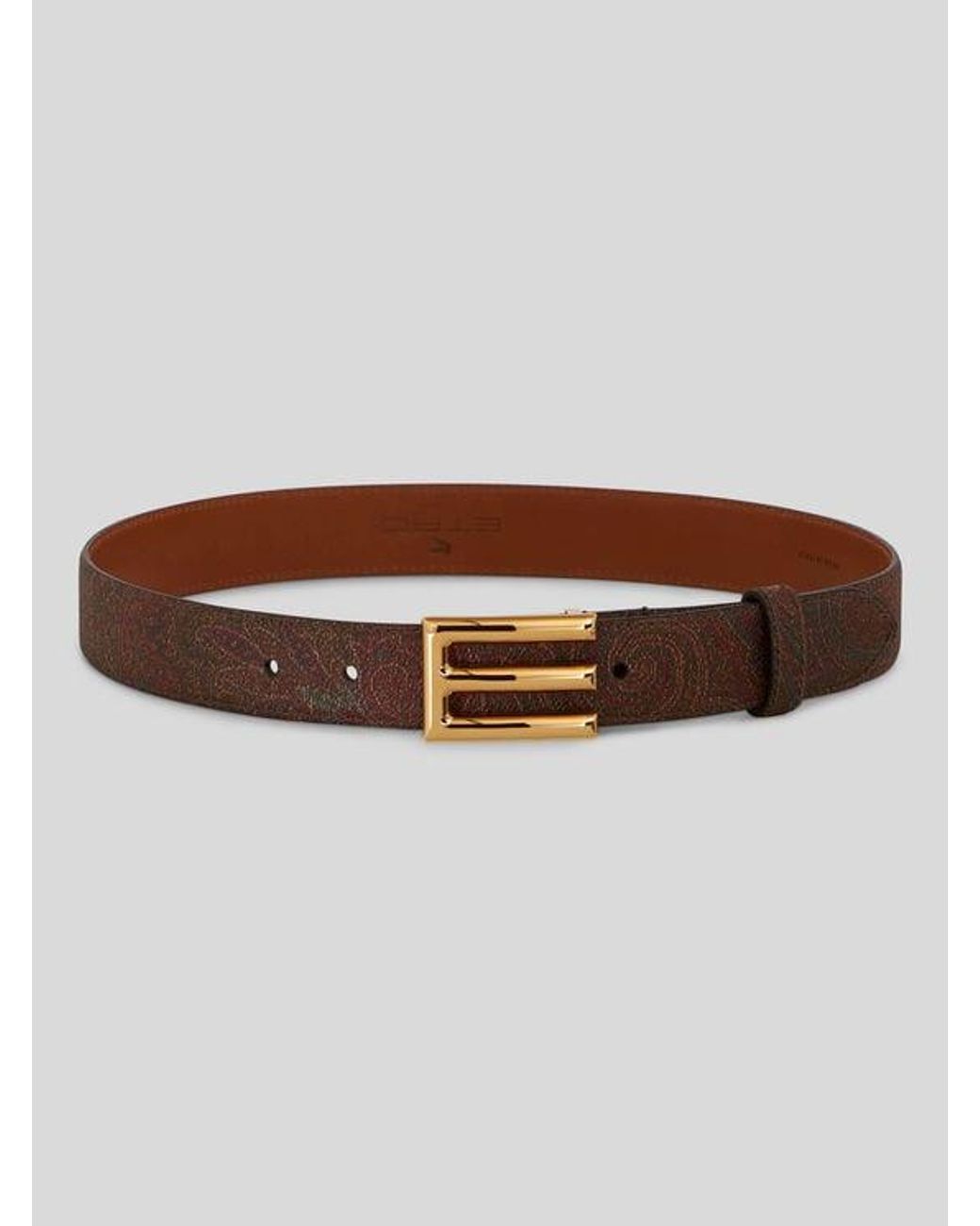 Etro Brown Logo-Buckle Paisley Leather Belt